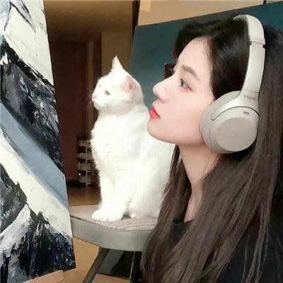 金屋春宵