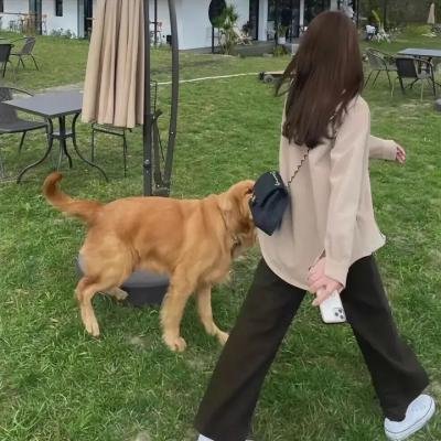 犀牛季节